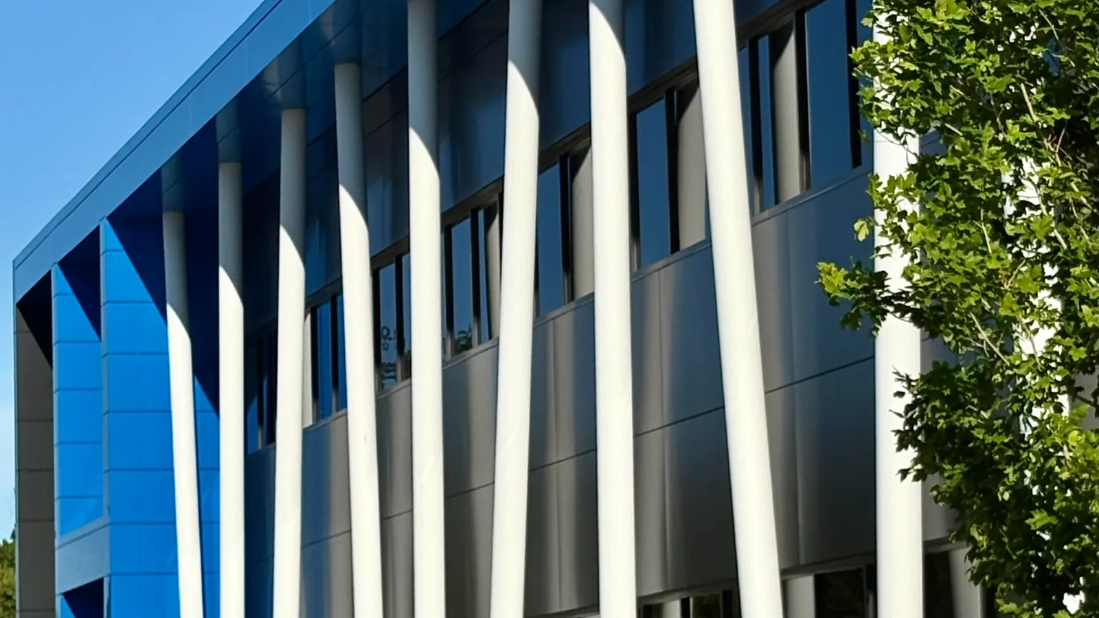 Close view of slender white columns set at varying angles against the dark panel facade and blue metal fascia.